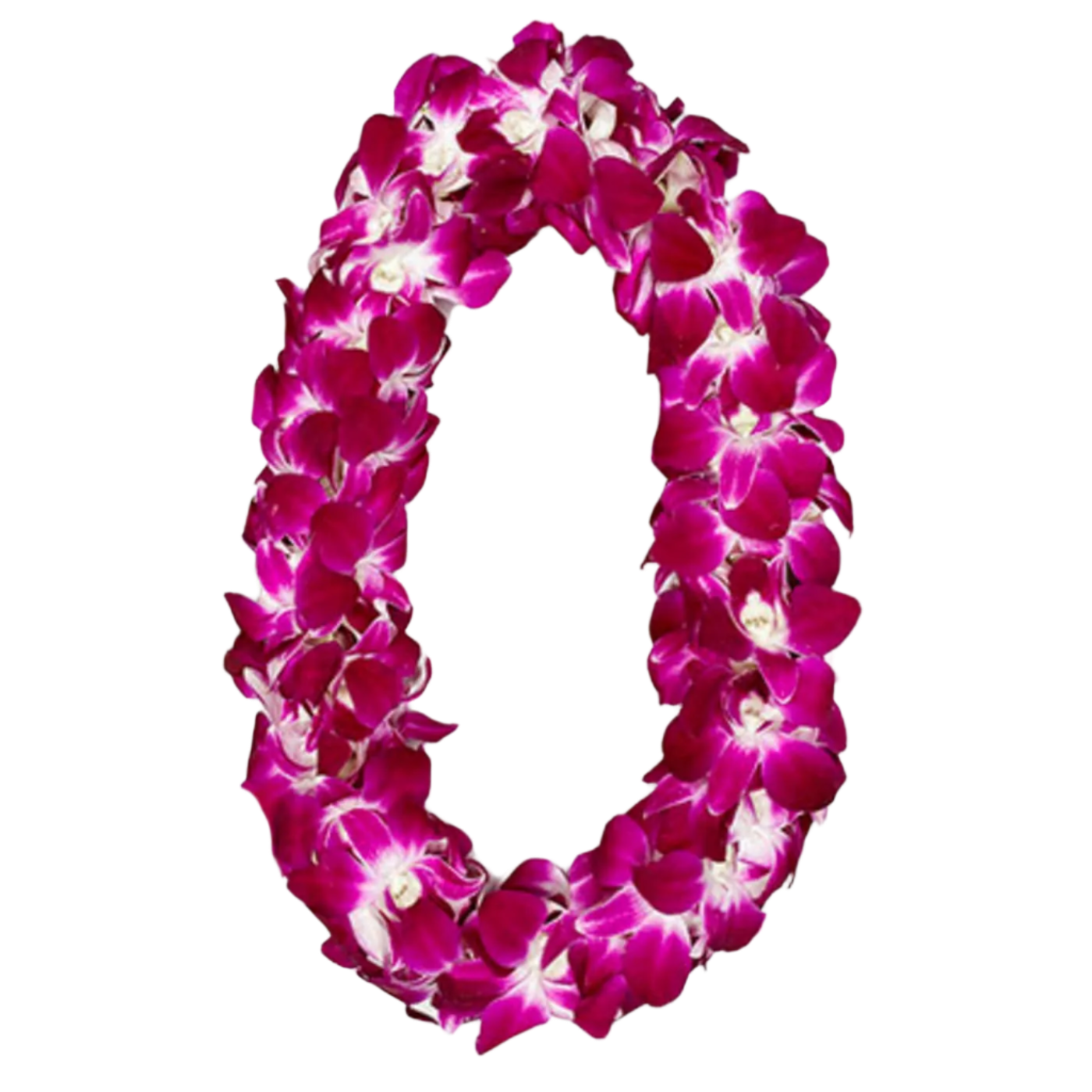 DOUBLE BOMBAY LEI (WEBB)