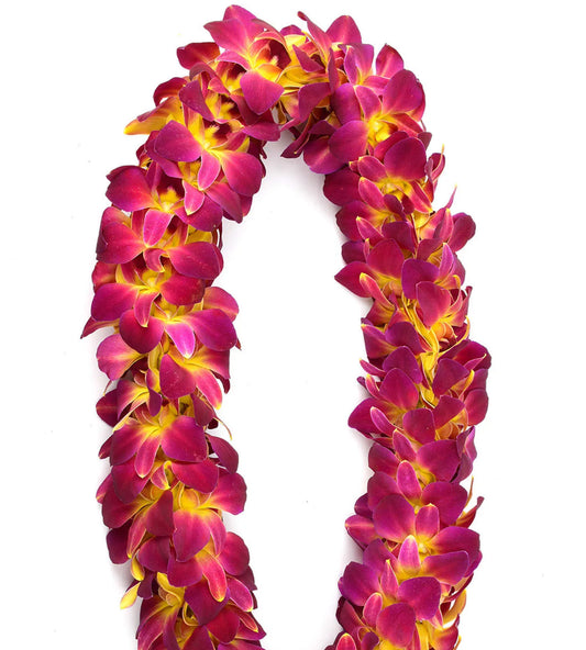 DOUBLE YELLOW DYED LEI (HMC)